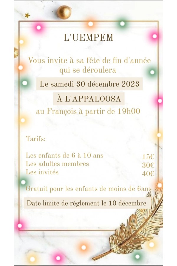 F&ecirc;te fin d'ann&eacute;e UEMPEM