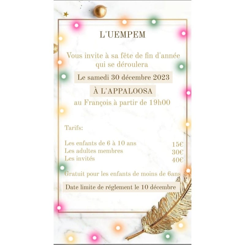 F&ecirc;te fin d'ann&eacute;e UEMPEM