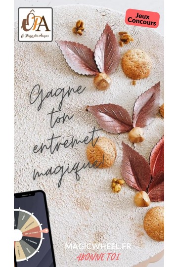 Jeu magicwheel.fr